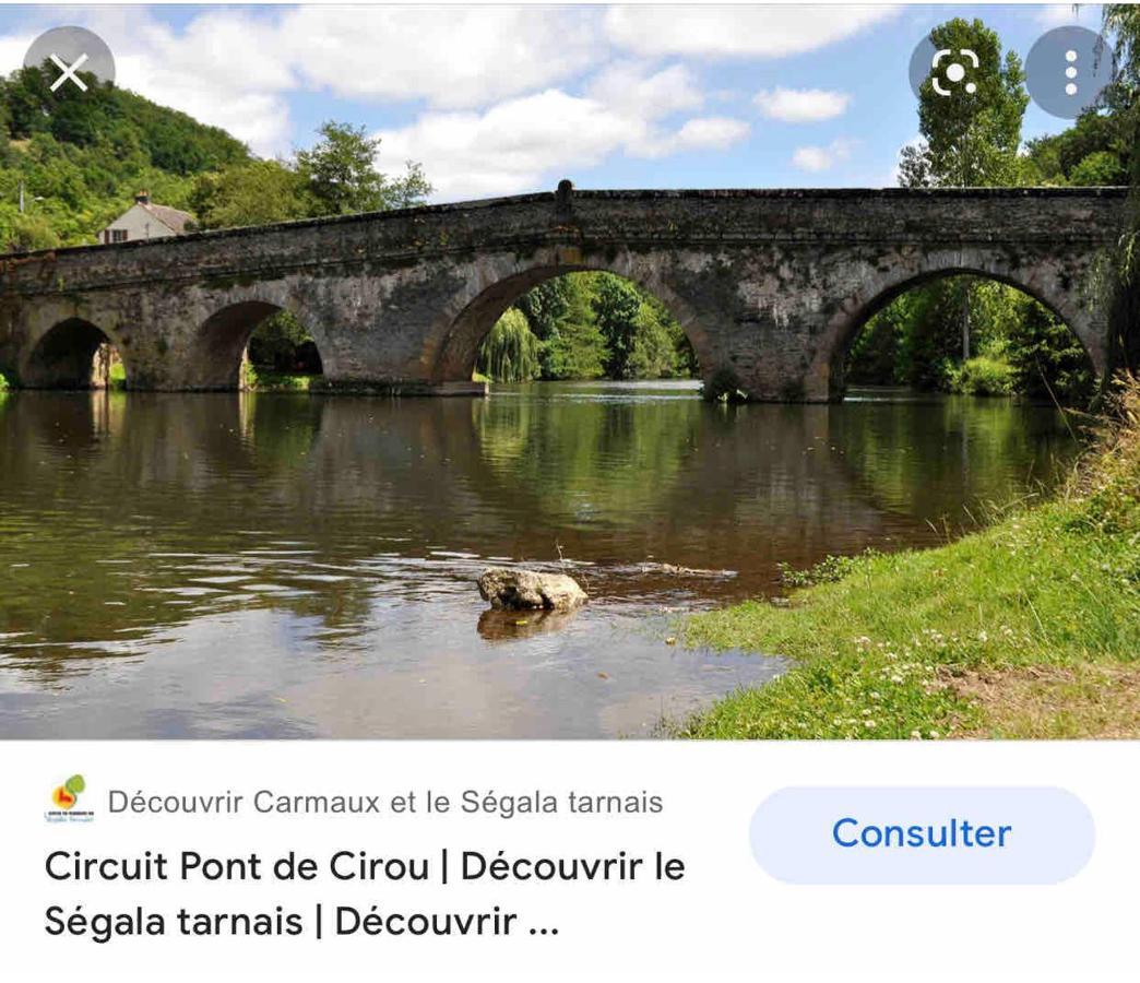 Le Gite De Las Peyros Mirandol-Bourgnounac Ngoại thất bức ảnh
